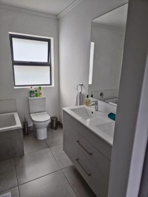Toilet and double sink basin